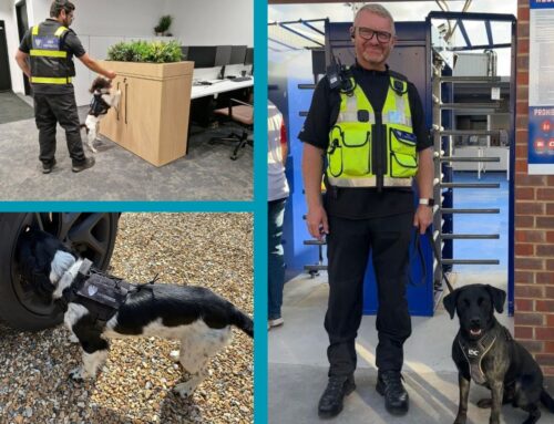 SAFECROWDS GROUP has been accepted onto the NCTAS-P programme