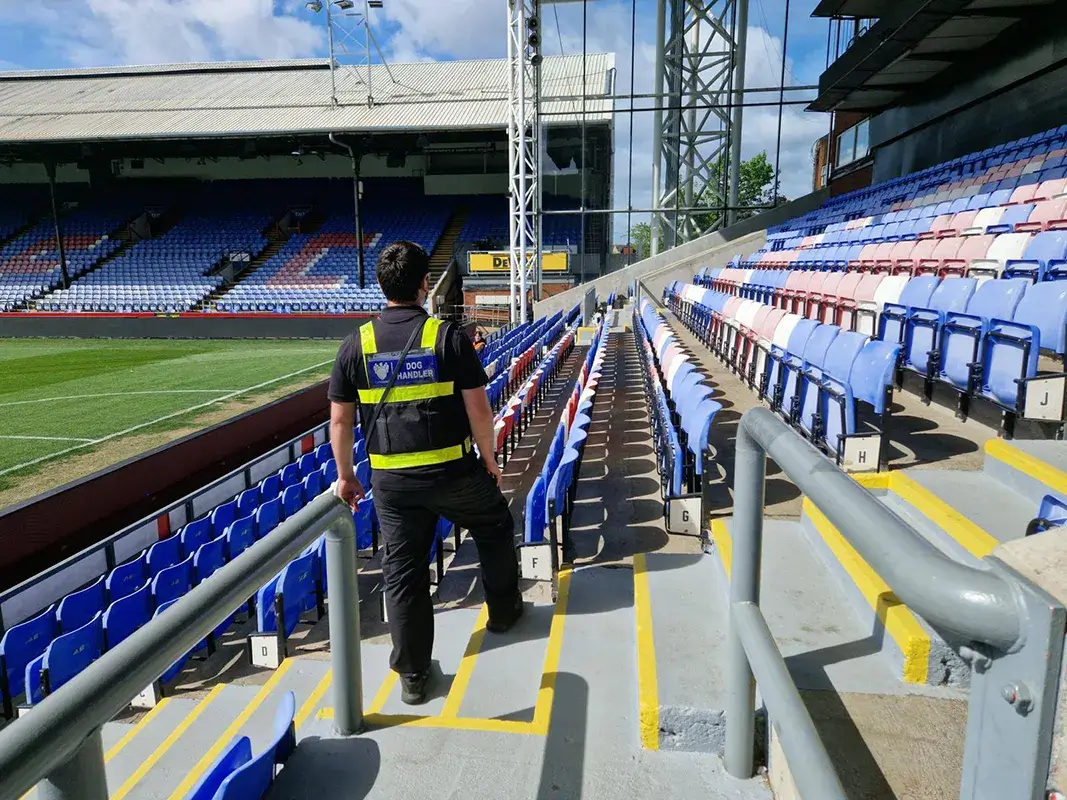 SAFECROWDS Stadium Security K9 Security Services